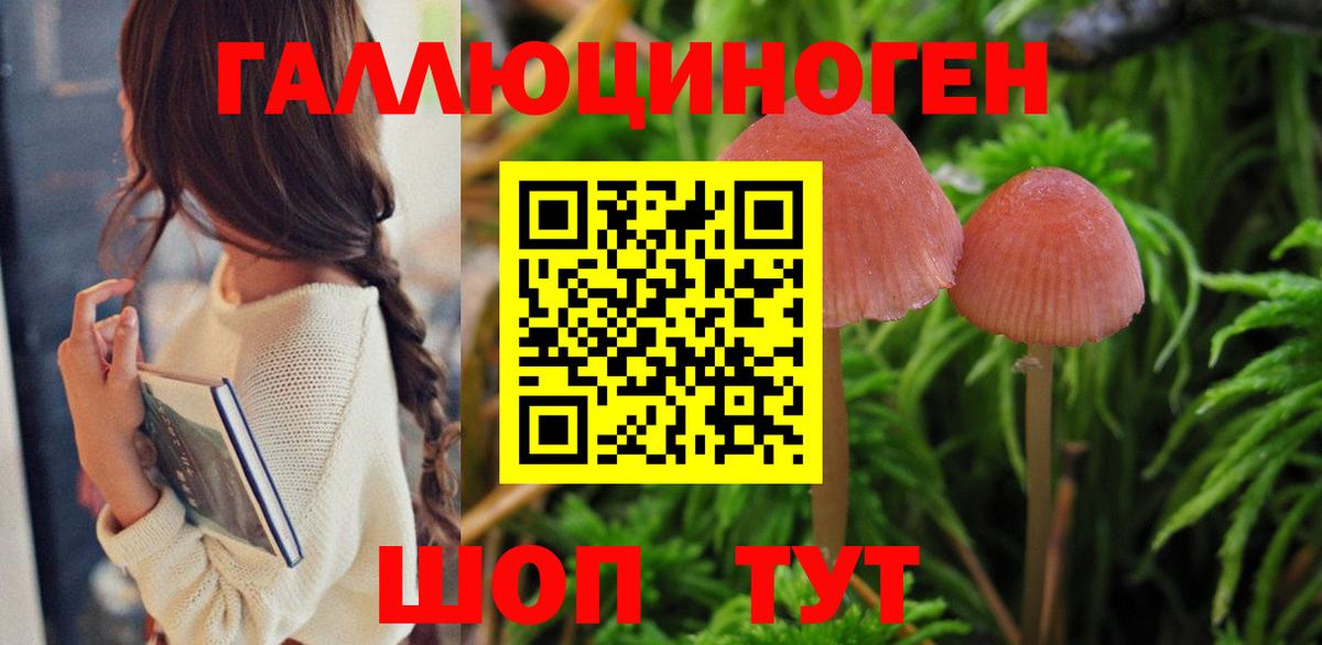 Псилоцибиновые грибы Psilocybe Ликино-Дулёво